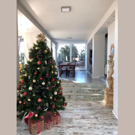 Mimar Altea Villa L エクステリア 写真